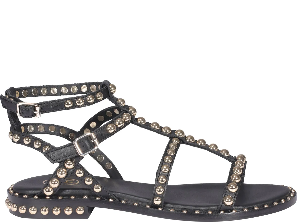Ash Precious Gladiator Sandals