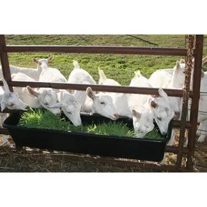 FarmTek FodderPro 2.0 Commercial Feed Module | High-Yield, Space-Saving Indoor Fodder System