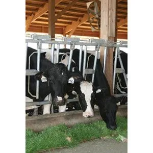 FarmTek FodderPro 2.0 Commercial Feed Module | High-Yield, Space-Saving Indoor Fodder System