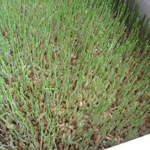 FarmTek FodderPro 2.0 Commercial Feed Module | High-Yield, Space-Saving Indoor Fodder System