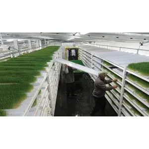 FarmTek FodderPro 3.0 Commercial Feed Module | Indoor Hydroponic Fodder System