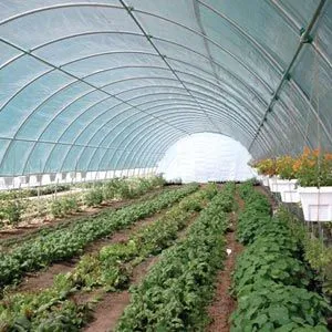 FarmTek GrowSpan 30'W Round Premium Extra Tall Tunnel Greenhouse System | 12' Height | Enhanced Crop Yield & Quality