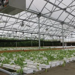 FarmTek HydroCycle Commercial 6" NFT Lettuce | Growing Systems For Indoor Farming
