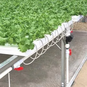 FarmTek HydroCycle Commercial 6" NFT Lettuce | Growing Systems For Indoor Farming