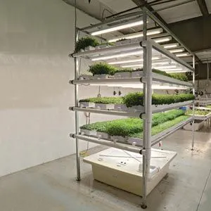 FarmTek HydroCycle Pro Vertical Hydroponic Microgreen Growing System | Indoor Container Farming
