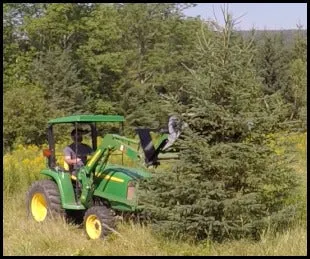 Forax Gas Powered Mulcher | Model GP40 | 40" Cutting Width | 14HP Kohler | For UTV's / Tractor
