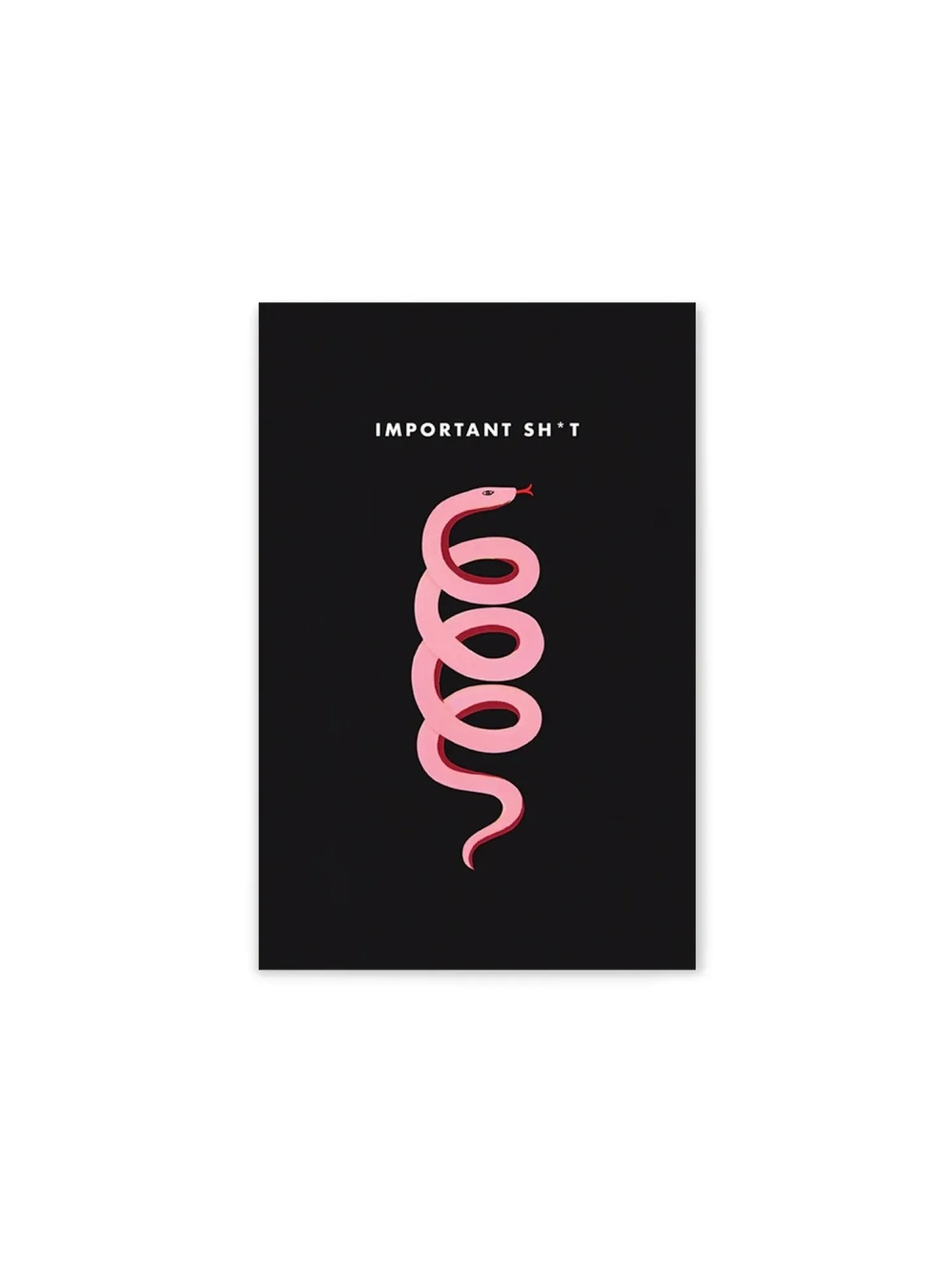 Girl With Knife Important Sh*t Mini Notebook - Brands We Love