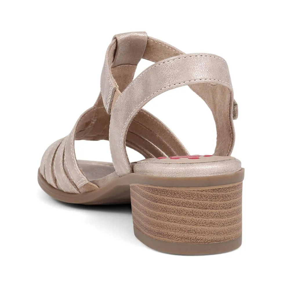 Gladiator Low Heeled Sandal  - CENTR39017 / 324 980