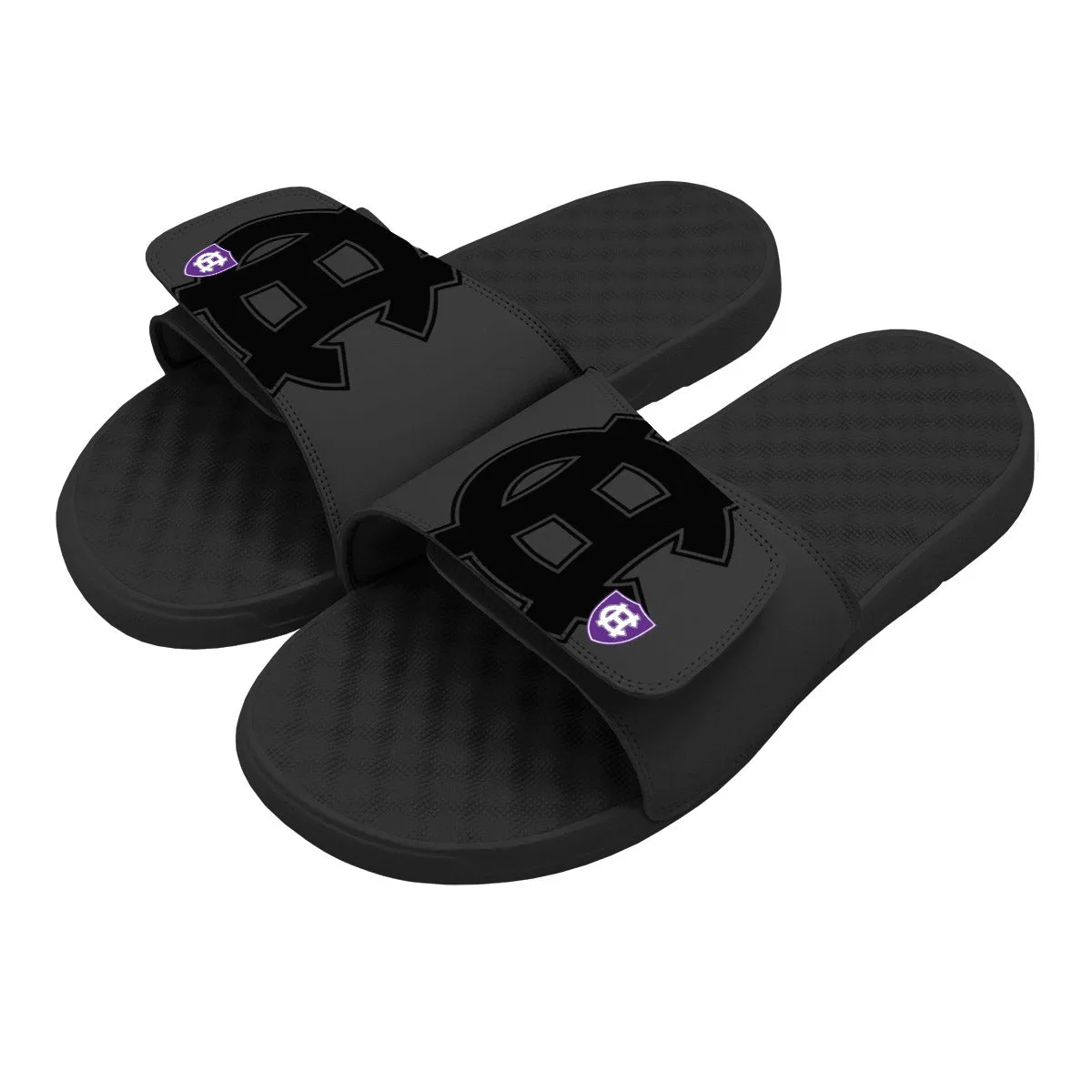 Holy Cross Tonal Pop Slides