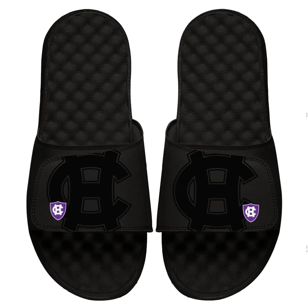 Holy Cross Tonal Pop Slides