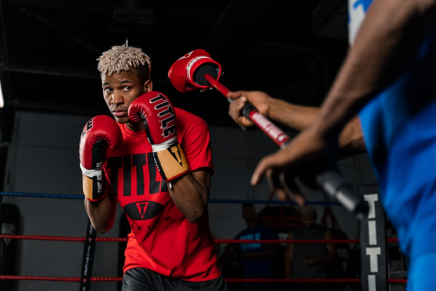 TITLE Boxing Gladiator Stick